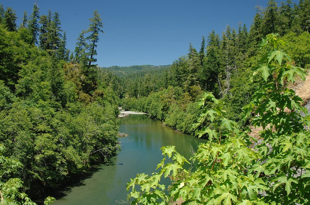 the Chetco River flowing through forest in the Rogue River-Siskiyou National Forest