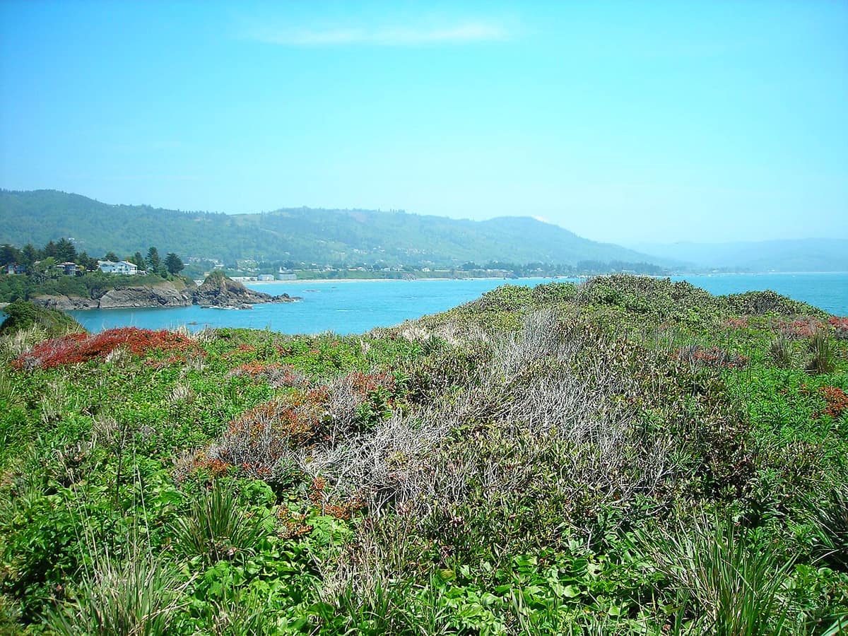 view of the Brookings coastline from Chetco Point Park