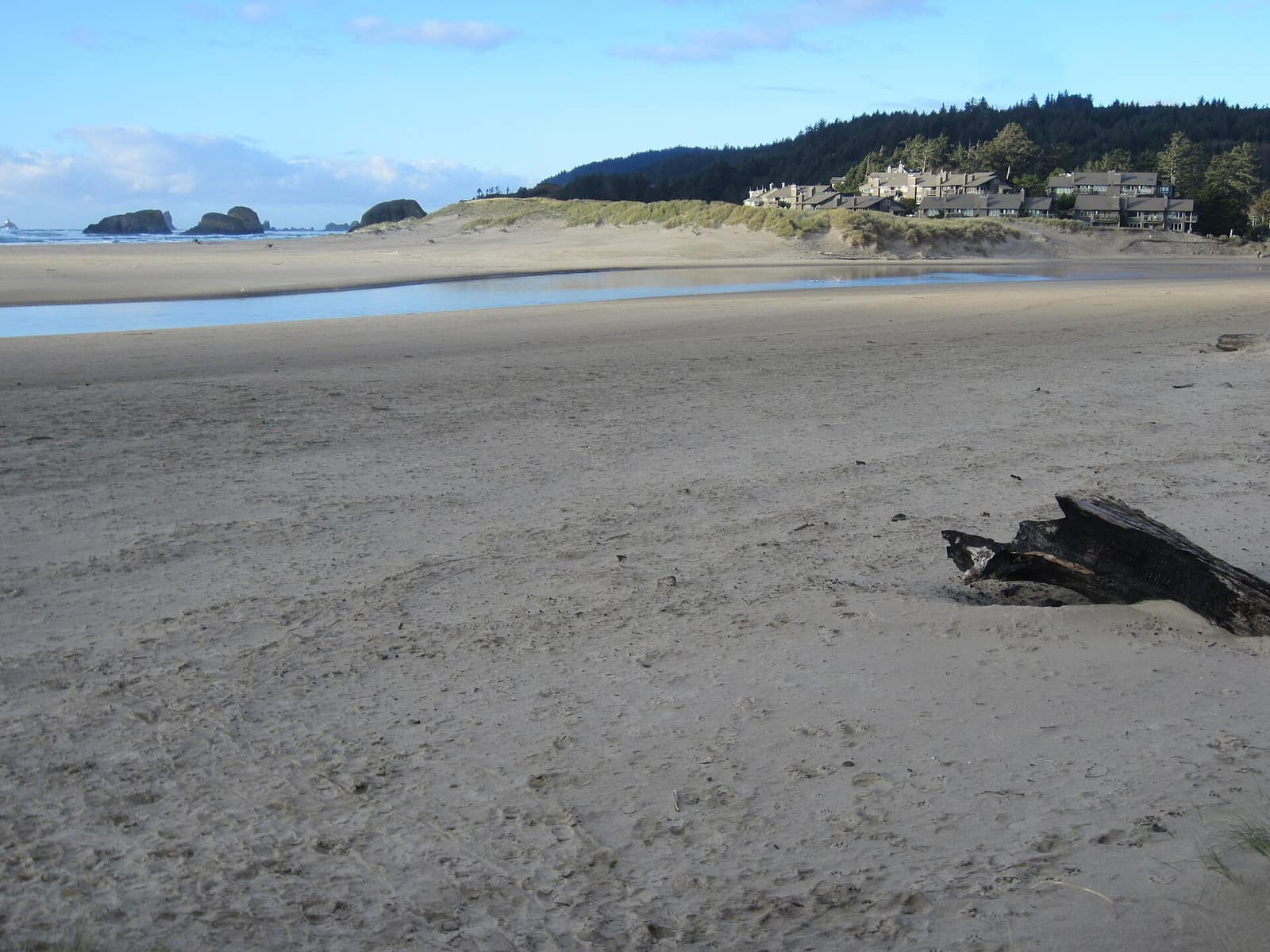 A tidal channel crossing the sand at Cannon Beach with rocks offshore and buildings above the dunes