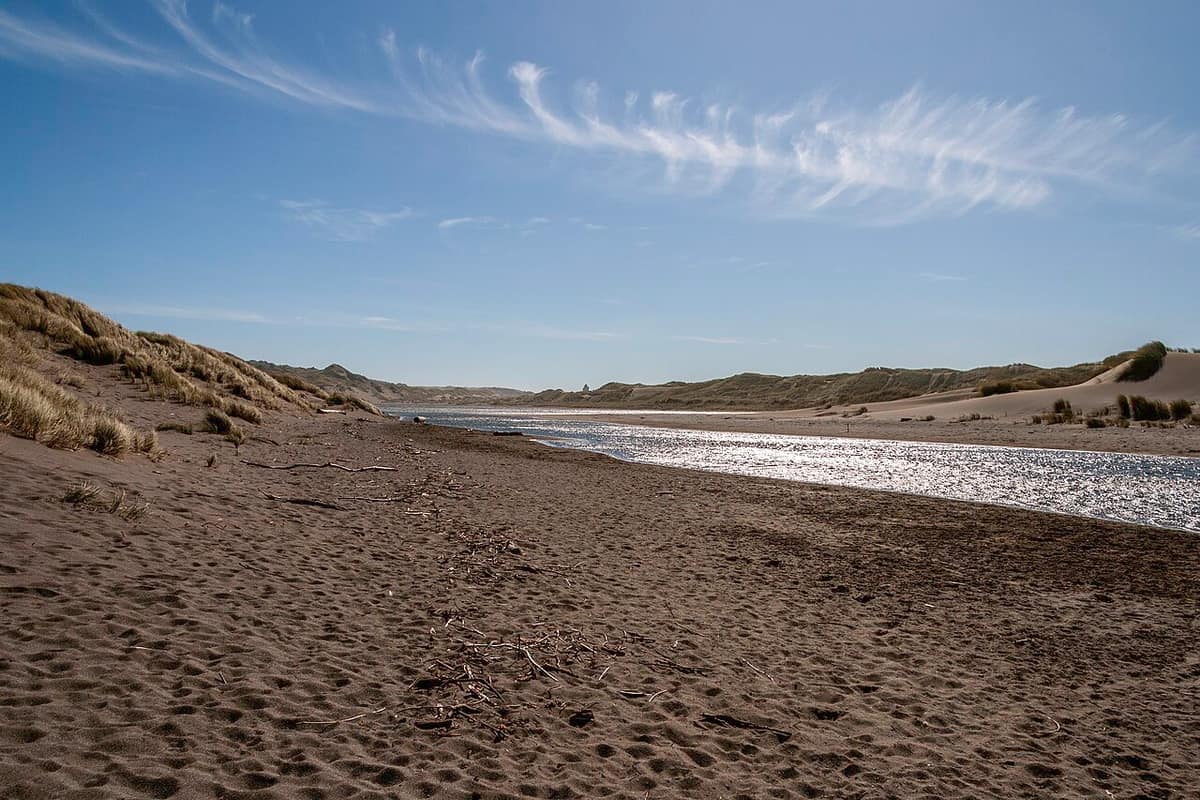Grass-topped dunes beside a river channel in the Oregon Dunes National Recreation Area