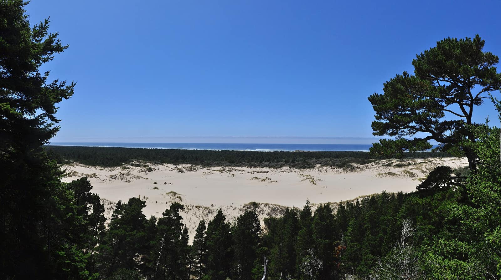 Oregon Dunes near Florence