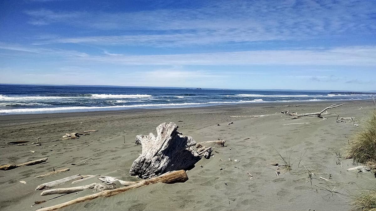 driftwood on a wide sandy beach at Gold Beach