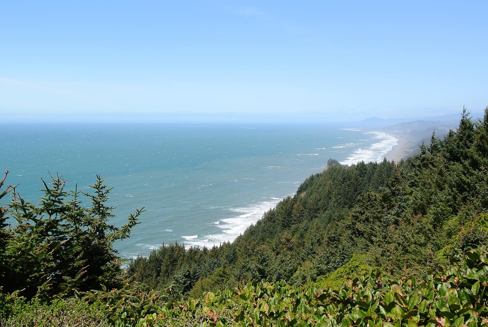 A view looking north along the coastline from Cape Sebastian, with forested slopes above a long surf-lined beach
