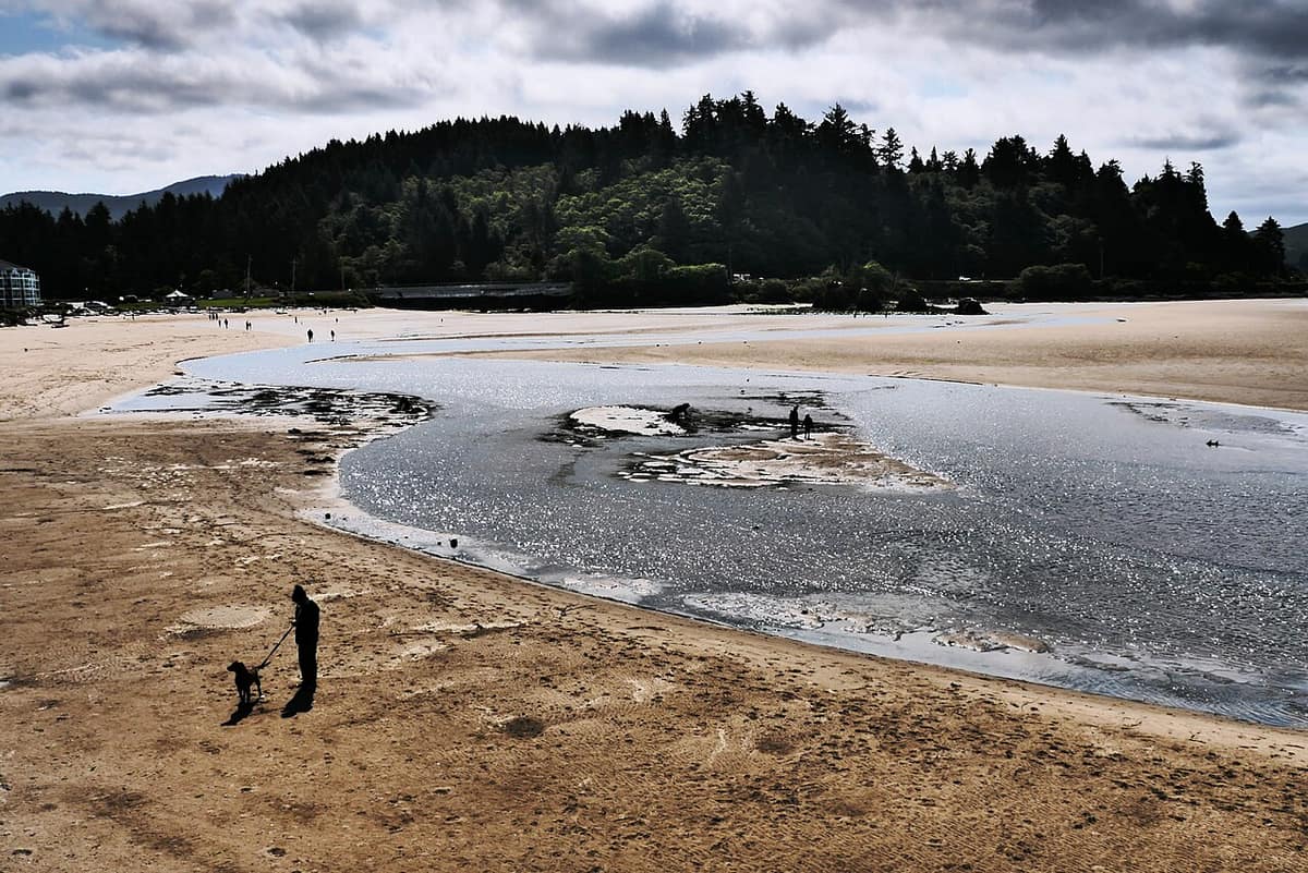 Person walking a dog on the beach at Siletz Bay in Lincoln City