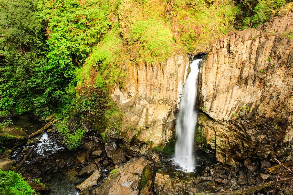 Drift Creek Falls pouring over a basalt cliff in the Oregon Coast Range