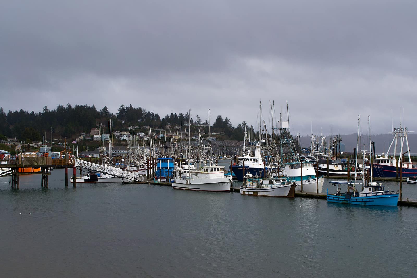 Fishing boats moored in the Newport harbor with wooded, house-dotted hillsides behind