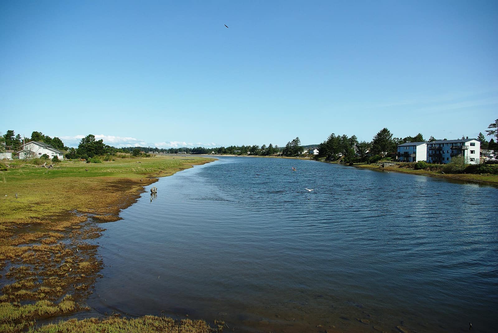 The Necanicum River flowing through Seaside under a blue sky, with marsh grass on the near bank and houses and a white apartment building along the far shore
