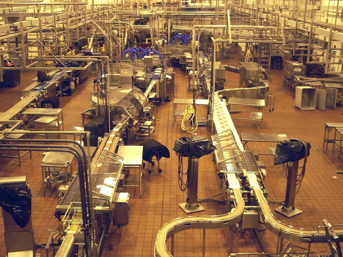 Cheese processing and packaging lines inside the Tillamook creamery plant